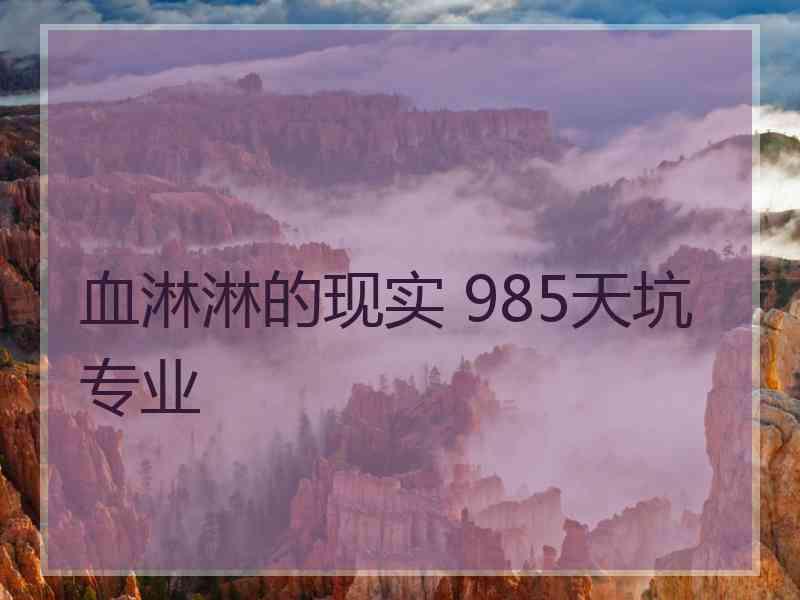 血淋淋的现实 985天坑专业