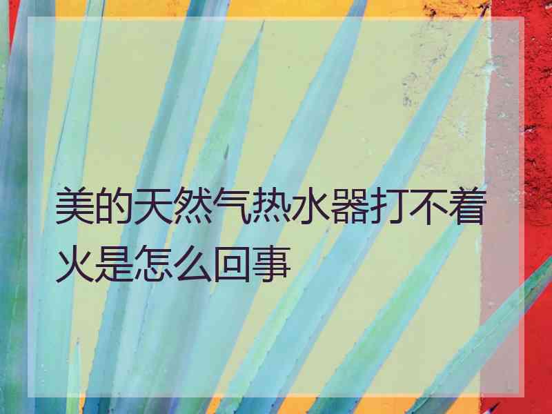 美的天然气热水器打不着火是怎么回事