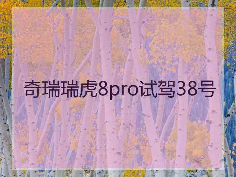 奇瑞瑞虎8pro试驾38号