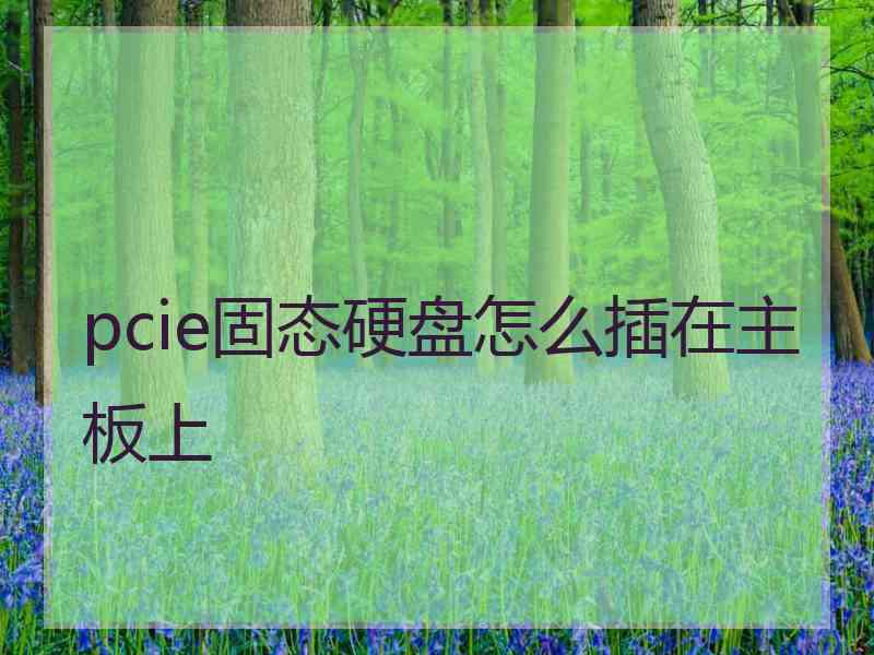 pcie固态硬盘怎么插在主板上