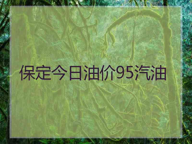 保定今日油价95汽油