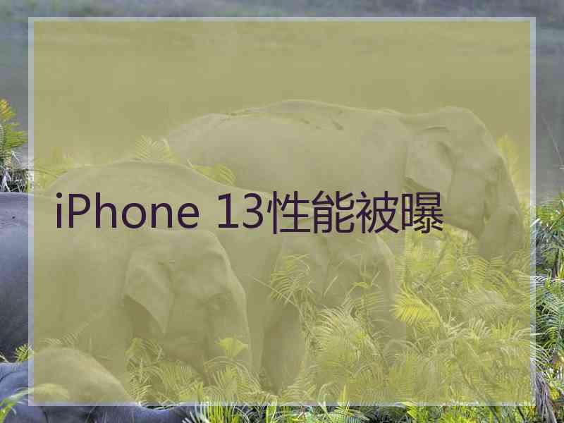 iPhone 13性能被曝