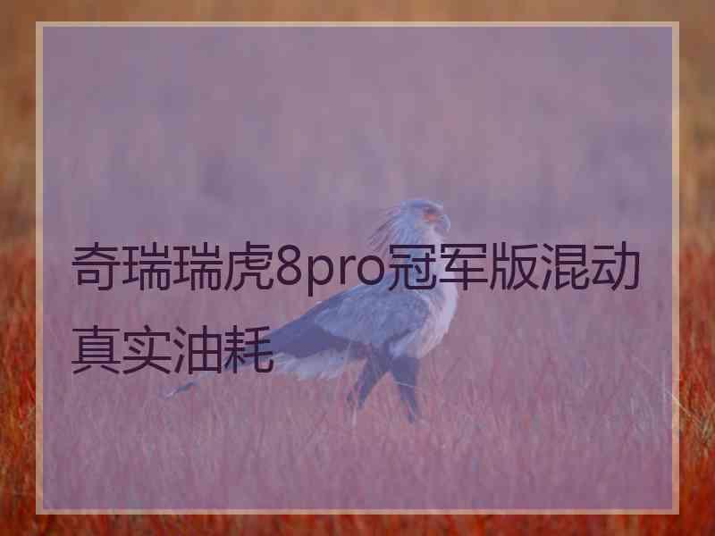 奇瑞瑞虎8pro冠军版混动真实油耗