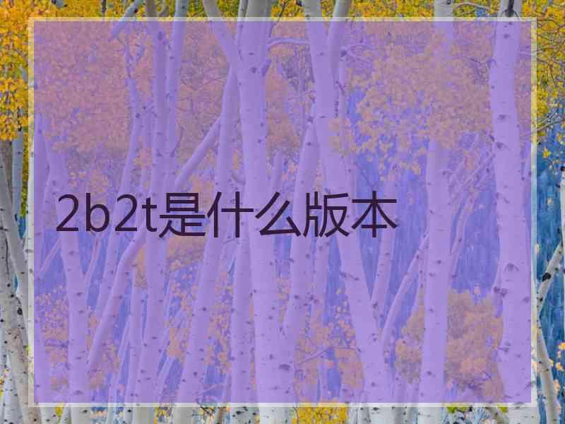 2b2t是什么版本