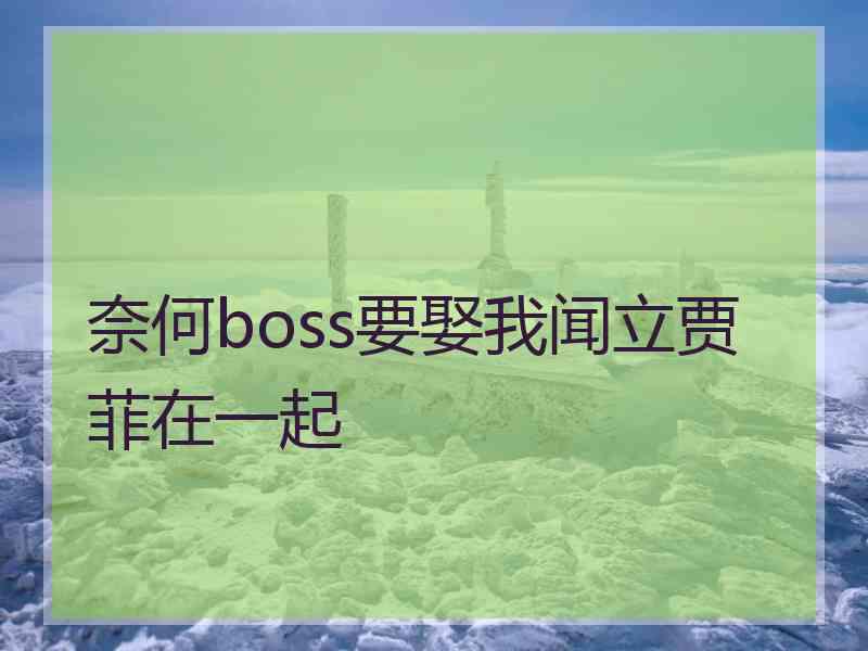 奈何boss要娶我闻立贾菲在一起