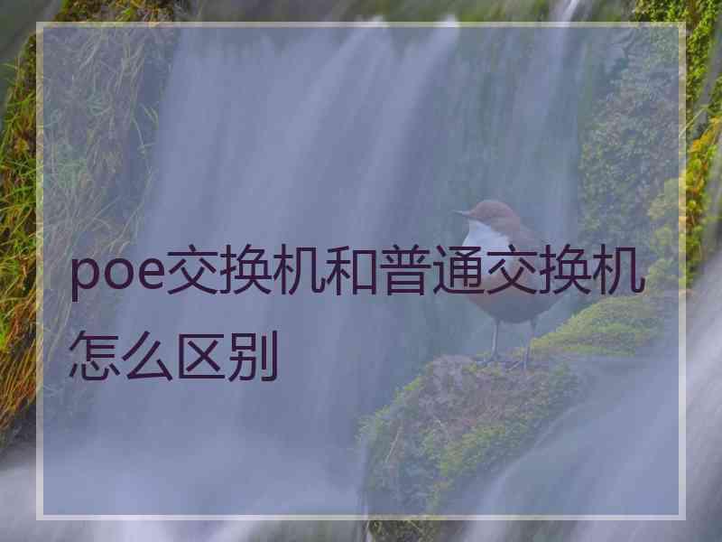 poe交换机和普通交换机怎么区别