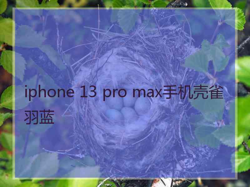 iphone 13 pro max手机壳雀羽蓝