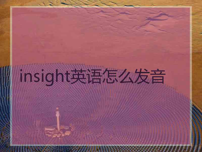 insight英语怎么发音