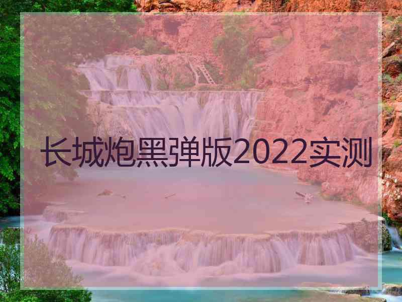 长城炮黑弹版2022实测