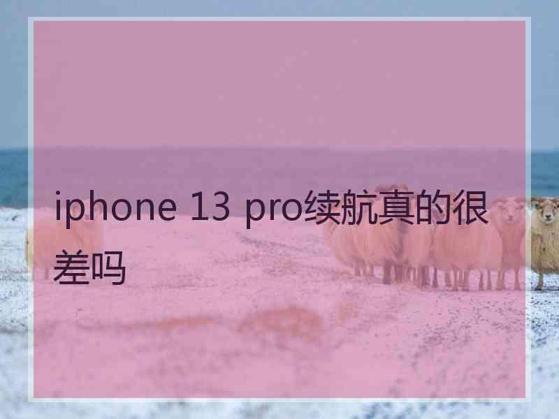 iphone 13 pro续航真的很差吗