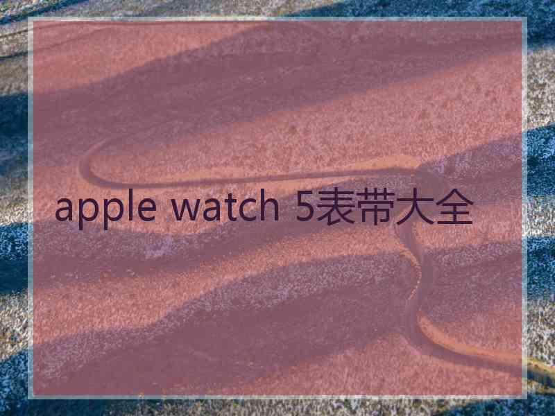 apple watch 5表带大全