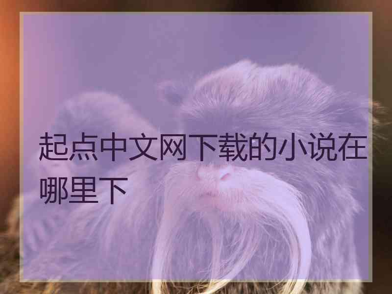 起点中文网下载的小说在哪里下