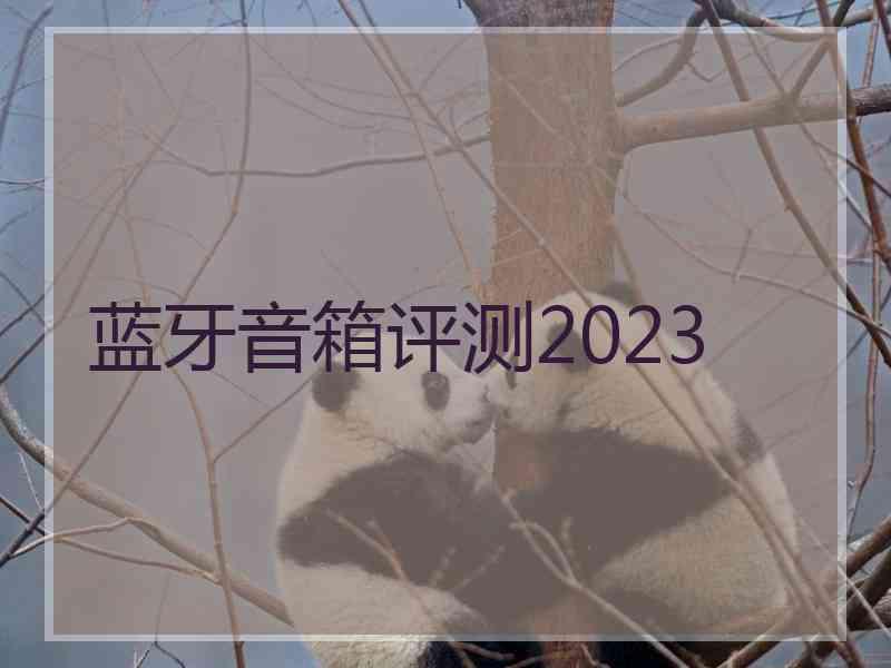 蓝牙音箱评测2023