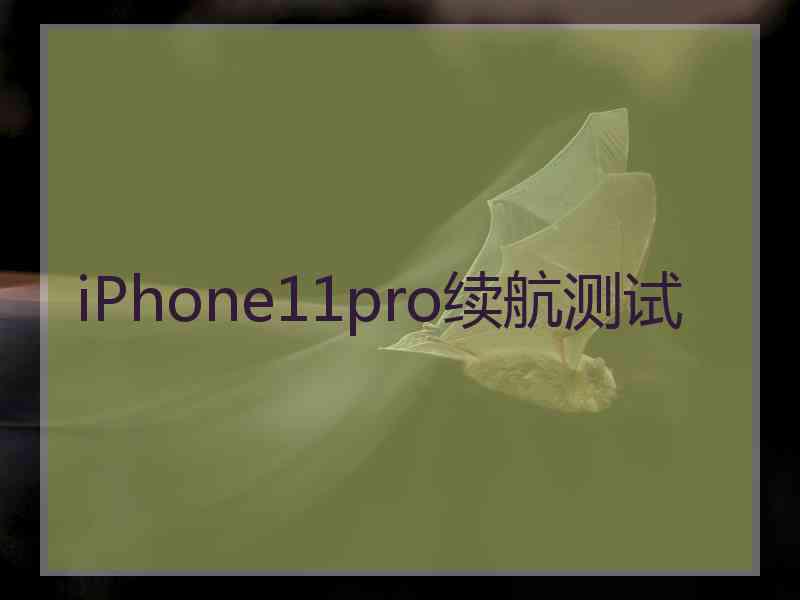 iPhone11pro续航测试