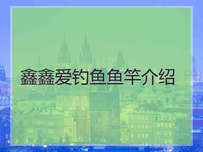 鑫鑫爱钓鱼鱼竿介绍