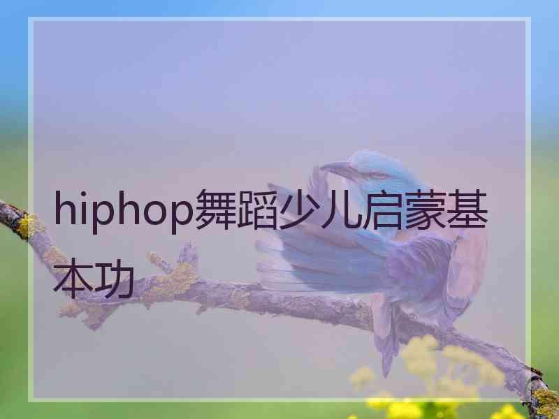 hiphop舞蹈少儿启蒙基本功