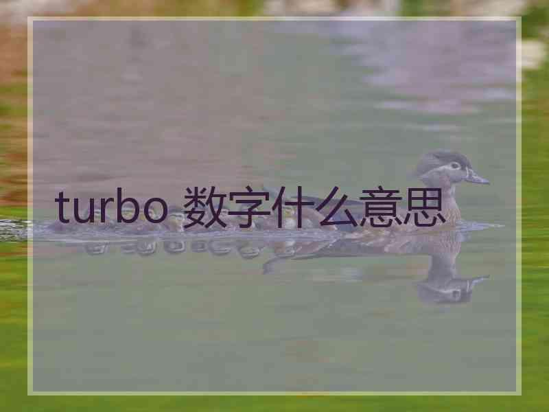 turbo 数字什么意思