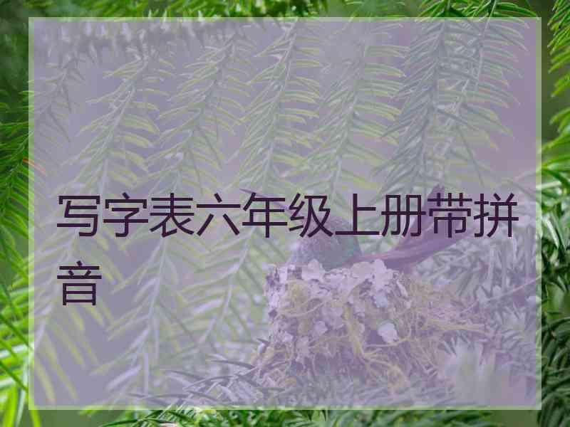 写字表六年级上册带拼音