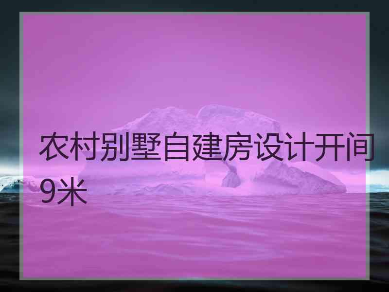 农村别墅自建房设计开间9米