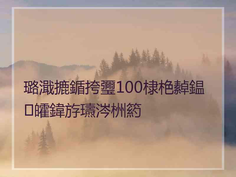 璐濈摝鍎挎瓕100棣栬繛鎾皬鍏斿瓙涔栦箹