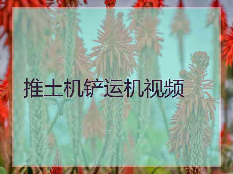 推土机铲运机视频