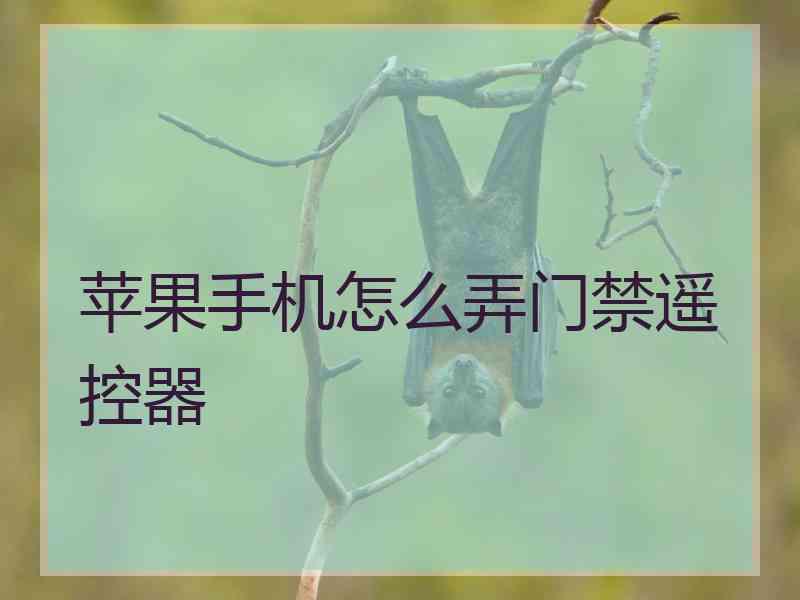 苹果手机怎么弄门禁遥控器