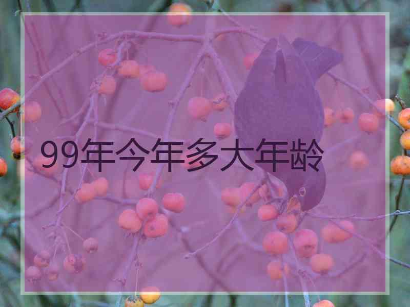 99年今年多大年龄