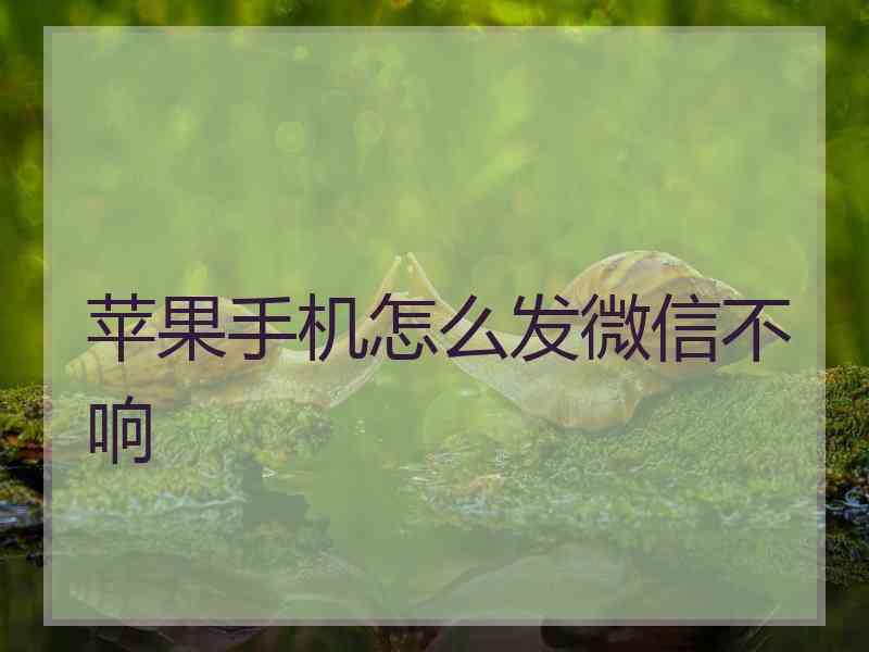 苹果手机怎么发微信不响