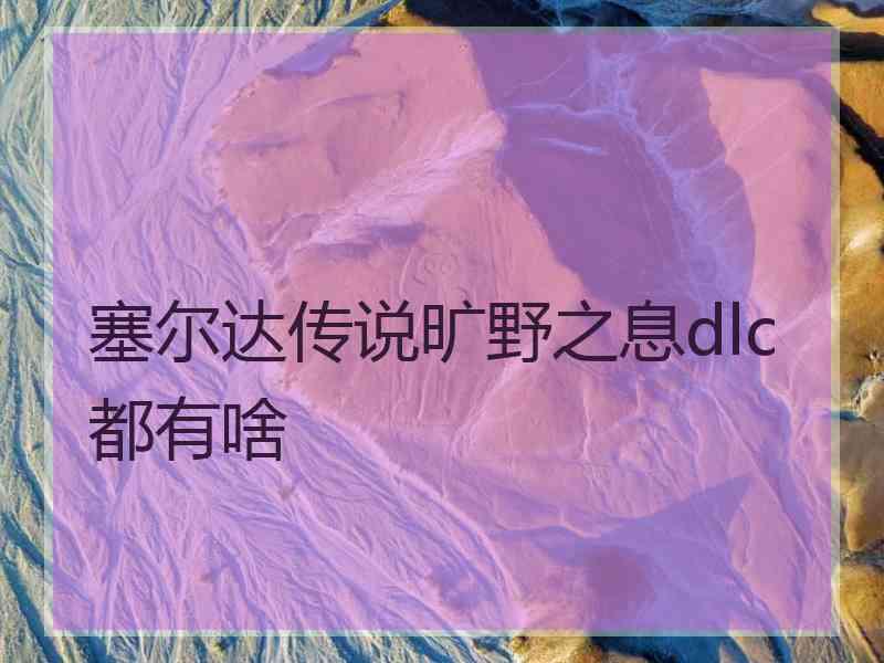 塞尔达传说旷野之息dlc都有啥