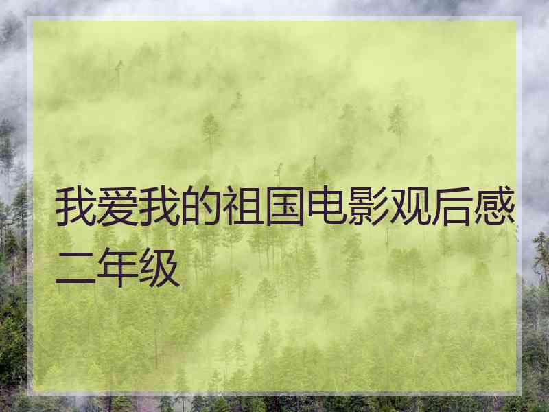 我爱我的祖国电影观后感二年级