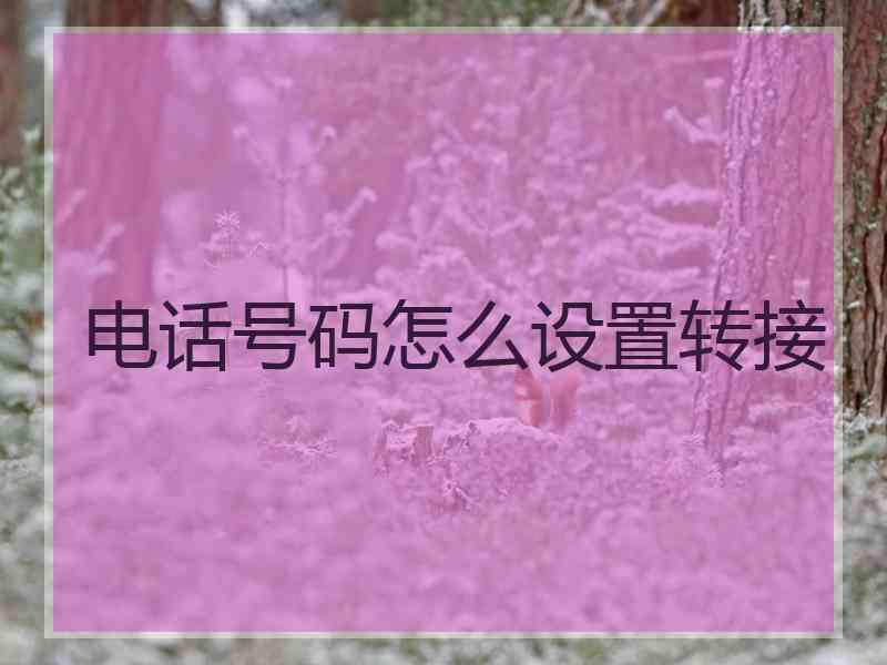 电话号码怎么设置转接