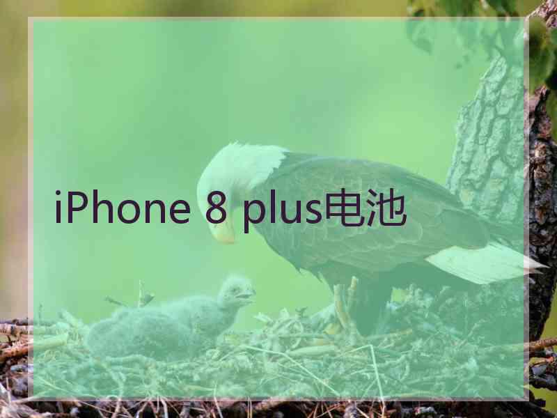 iPhone 8 plus电池