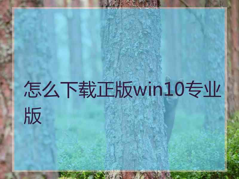 怎么下载正版win10专业版