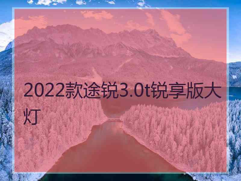 2022款途锐3.0t锐享版大灯