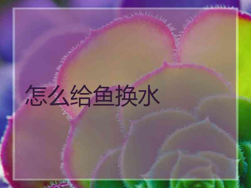 怎么给鱼换水