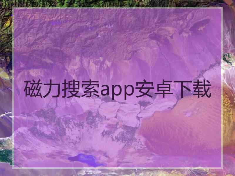 磁力搜索app安卓下载