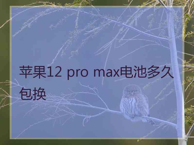 苹果12 pro max电池多久包换