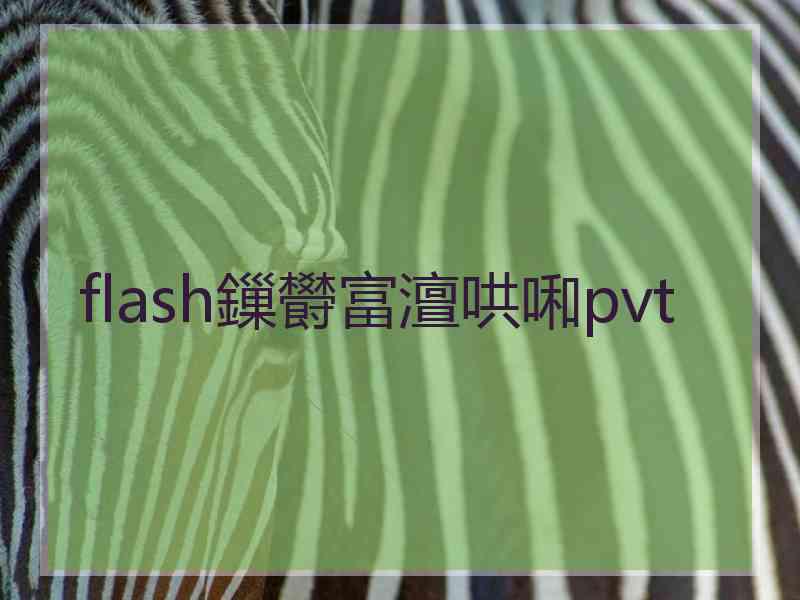 flash鏁欎富澶哄啝pvt