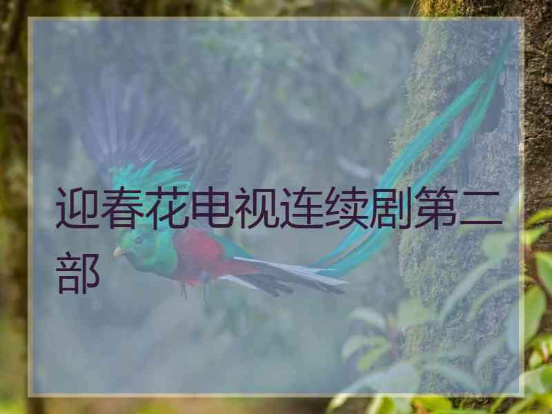 迎春花电视连续剧第二部