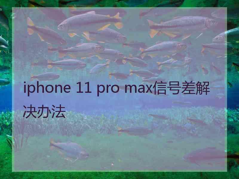 iphone 11 pro max信号差解决办法