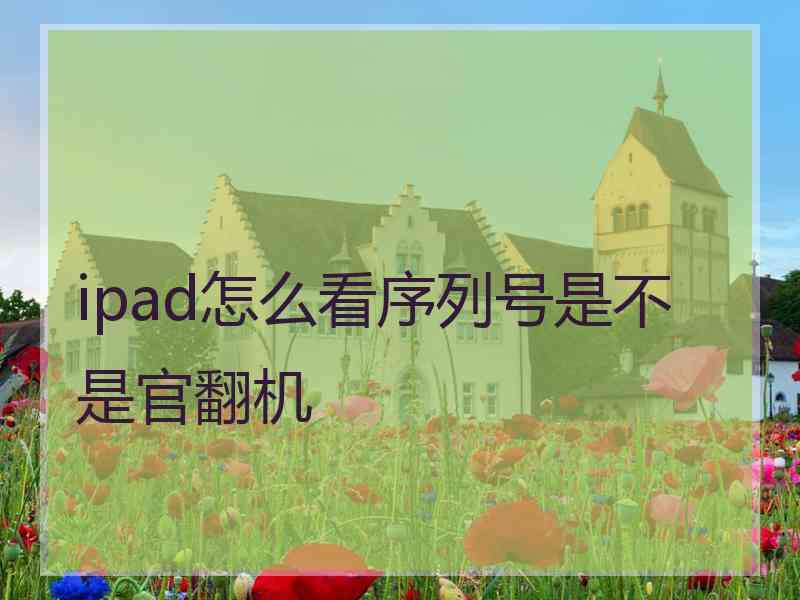 ipad怎么看序列号是不是官翻机