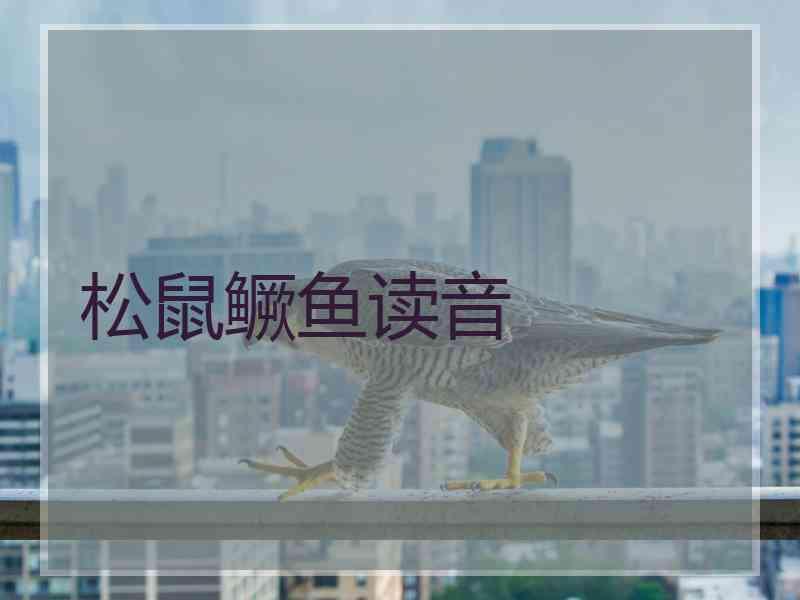 松鼠鳜鱼读音