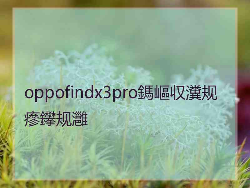 oppofindx3pro鎷嶇収瀵规瘮鑻规灉