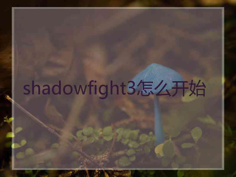 shadowfight3怎么开始