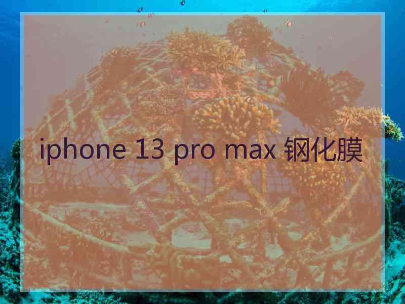 iphone 13 pro max 钢化膜