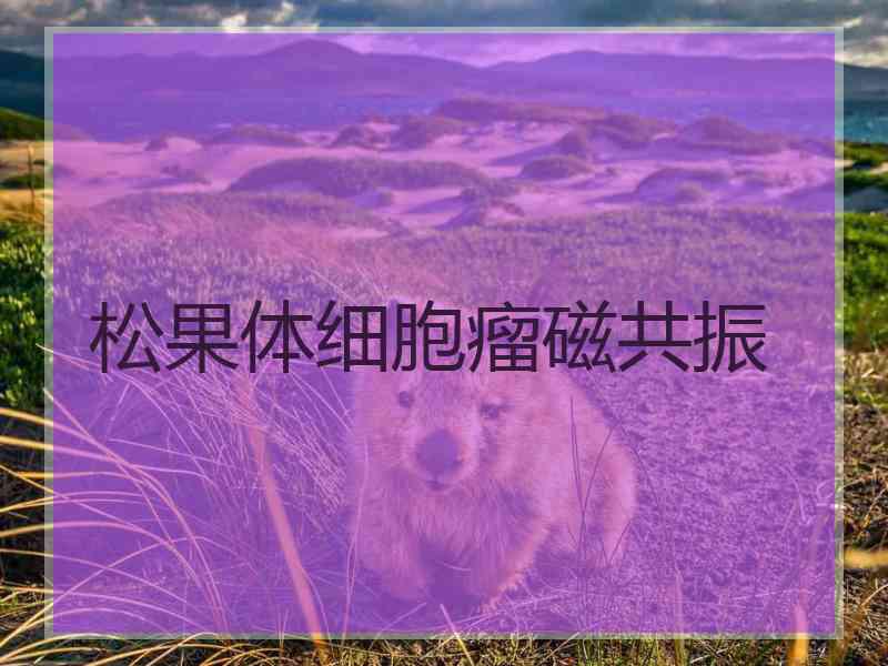 松果体细胞瘤磁共振