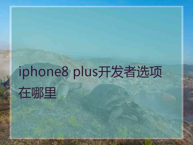 iphone8 plus开发者选项在哪里