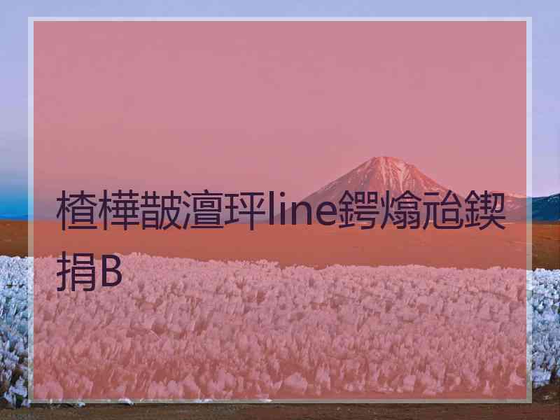 楂樺皵澶玶line鍔熻兘鍥捐В