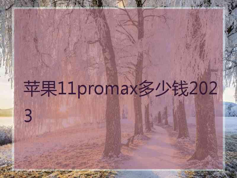 苹果11promax多少钱2023