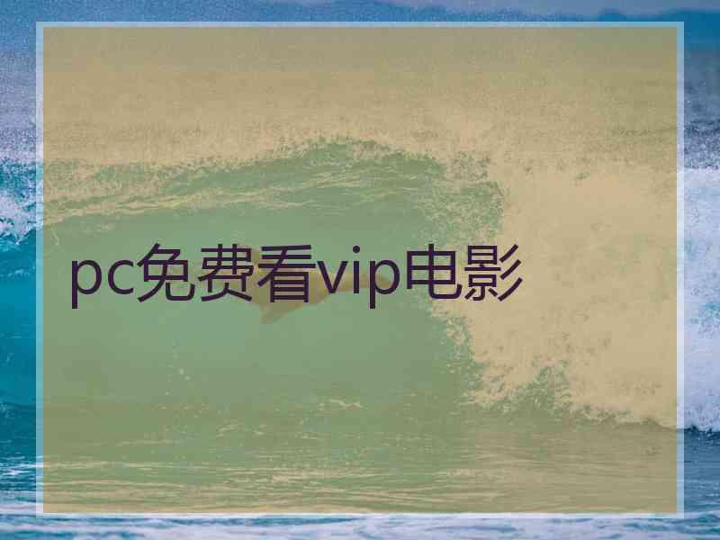 pc免费看vip电影